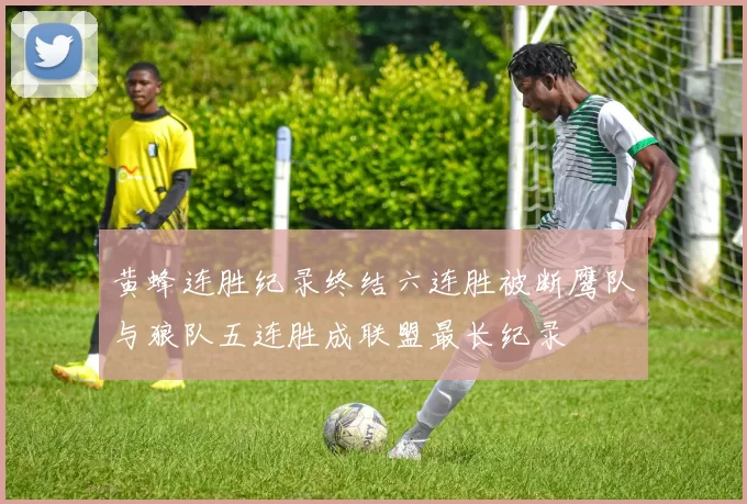黄蜂连胜纪录终结六连胜被断鹰队与狼队五连胜成联盟最长纪录