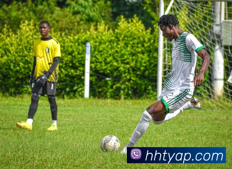 App Interface Preview