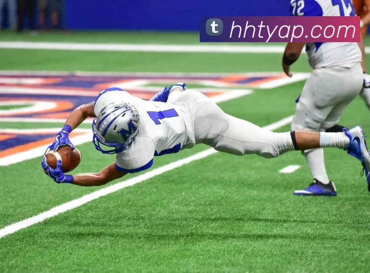 火狐体育AppAPP 封面图